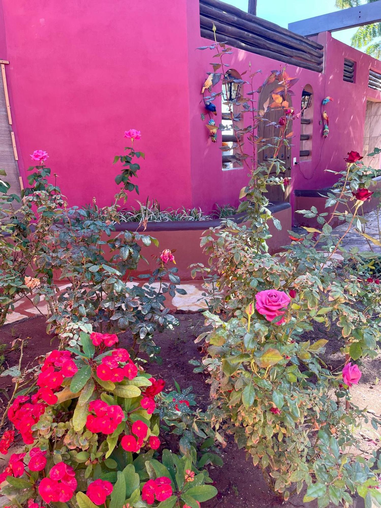 Casa El Pescador Βίλα Mulege Εξωτερικό φωτογραφία